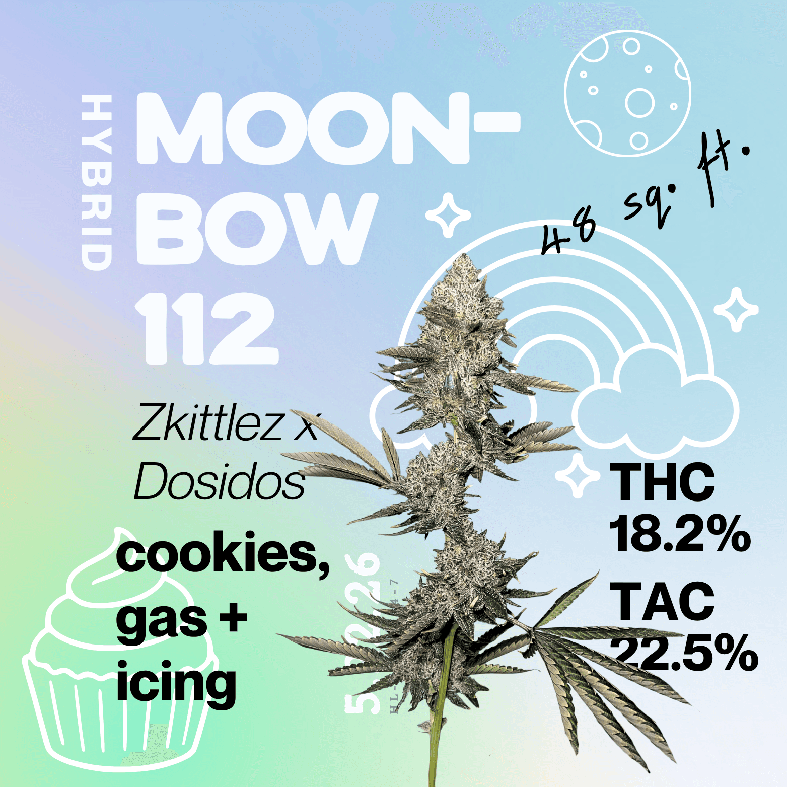 North Node Gardens Moonbow 112 - Bulk Flower