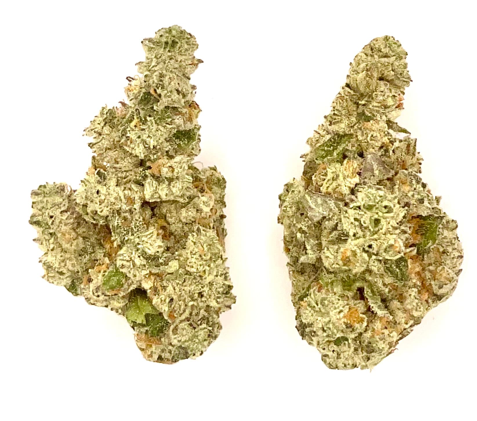 MT Kush Buds | Modified Gas