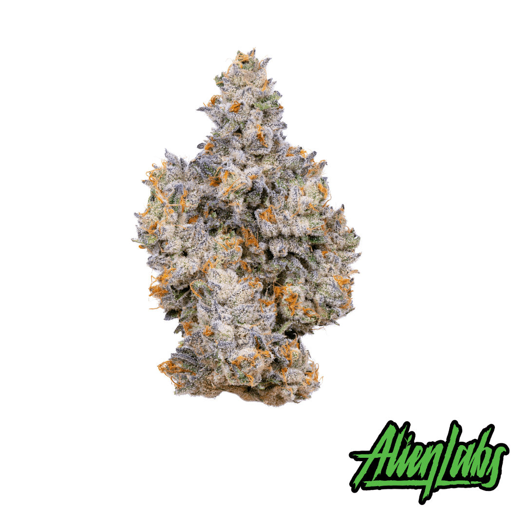 Alien Labs Alien Labs Violet Night 3.5g Flower
