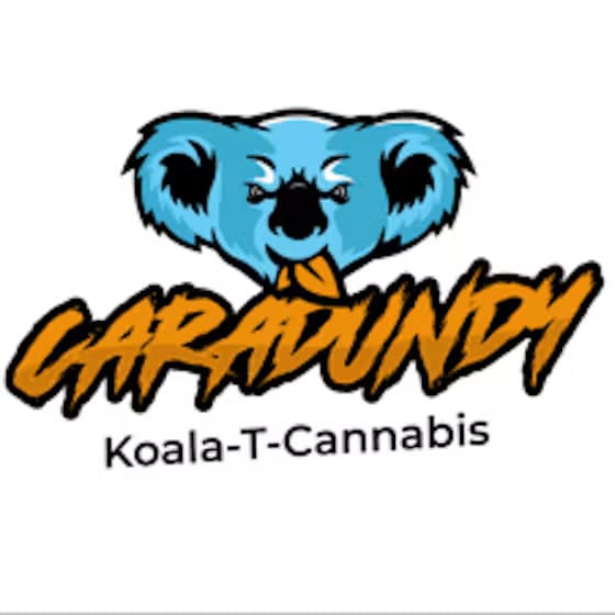 Caradundy Squiggler - Distillate - AIO