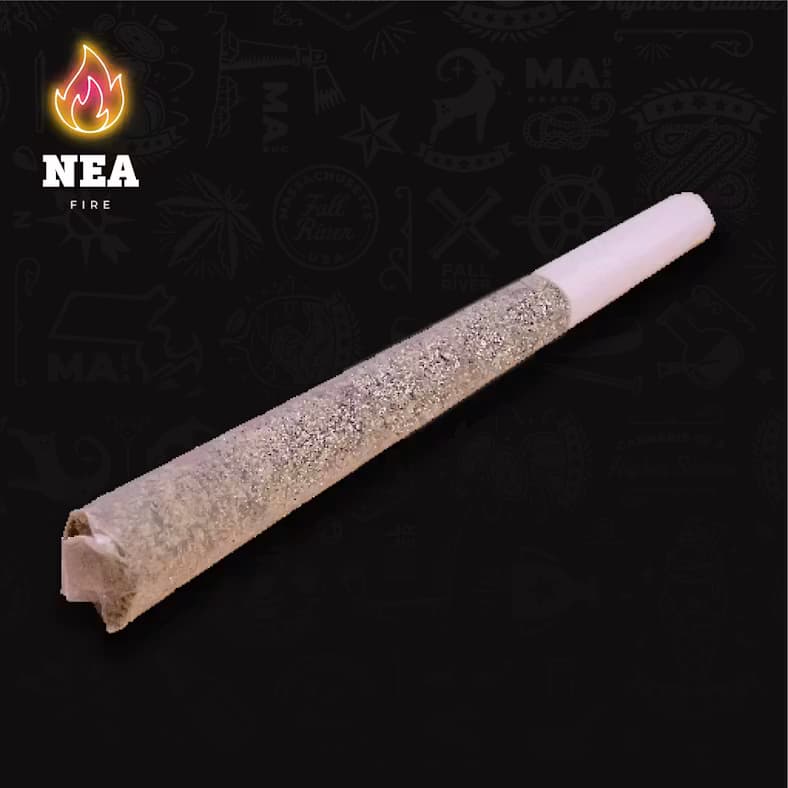 Northeast Alternatives Grease Monkey | 1g | Preroll