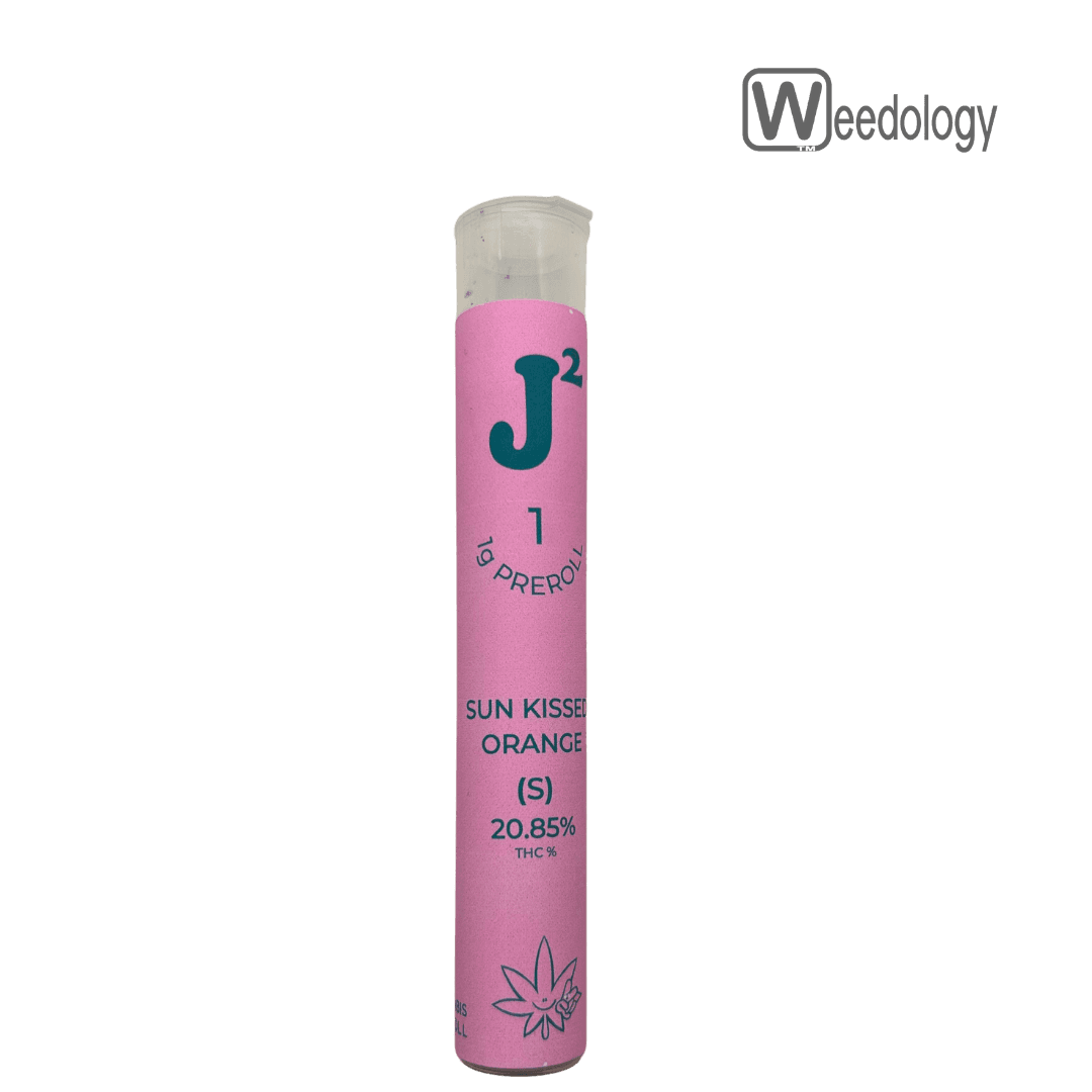 J2 J2 Single SUN KISSED ORANGE 0.5g Pre-Roll
