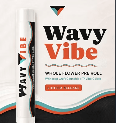 Wavy Vibe Wavy Vibe Disco Fries (H) Pre-Roll 1g