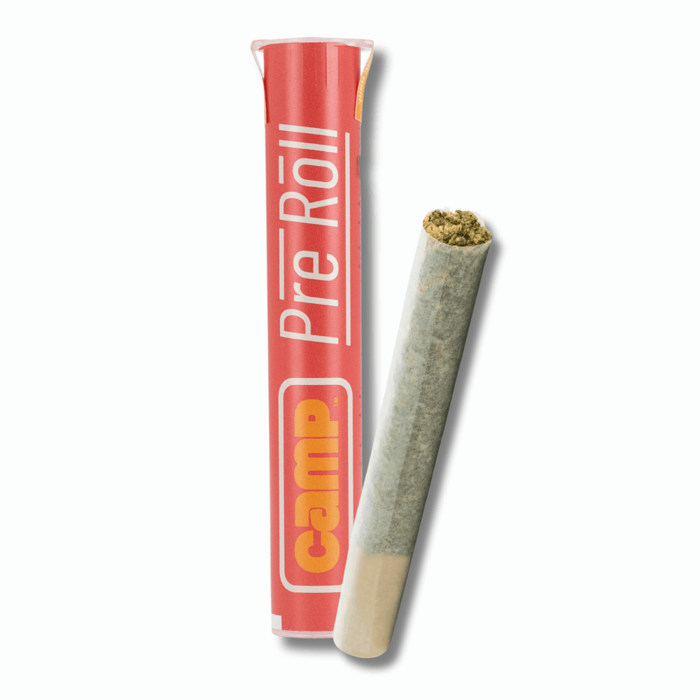 CAMP Pineapple Chem