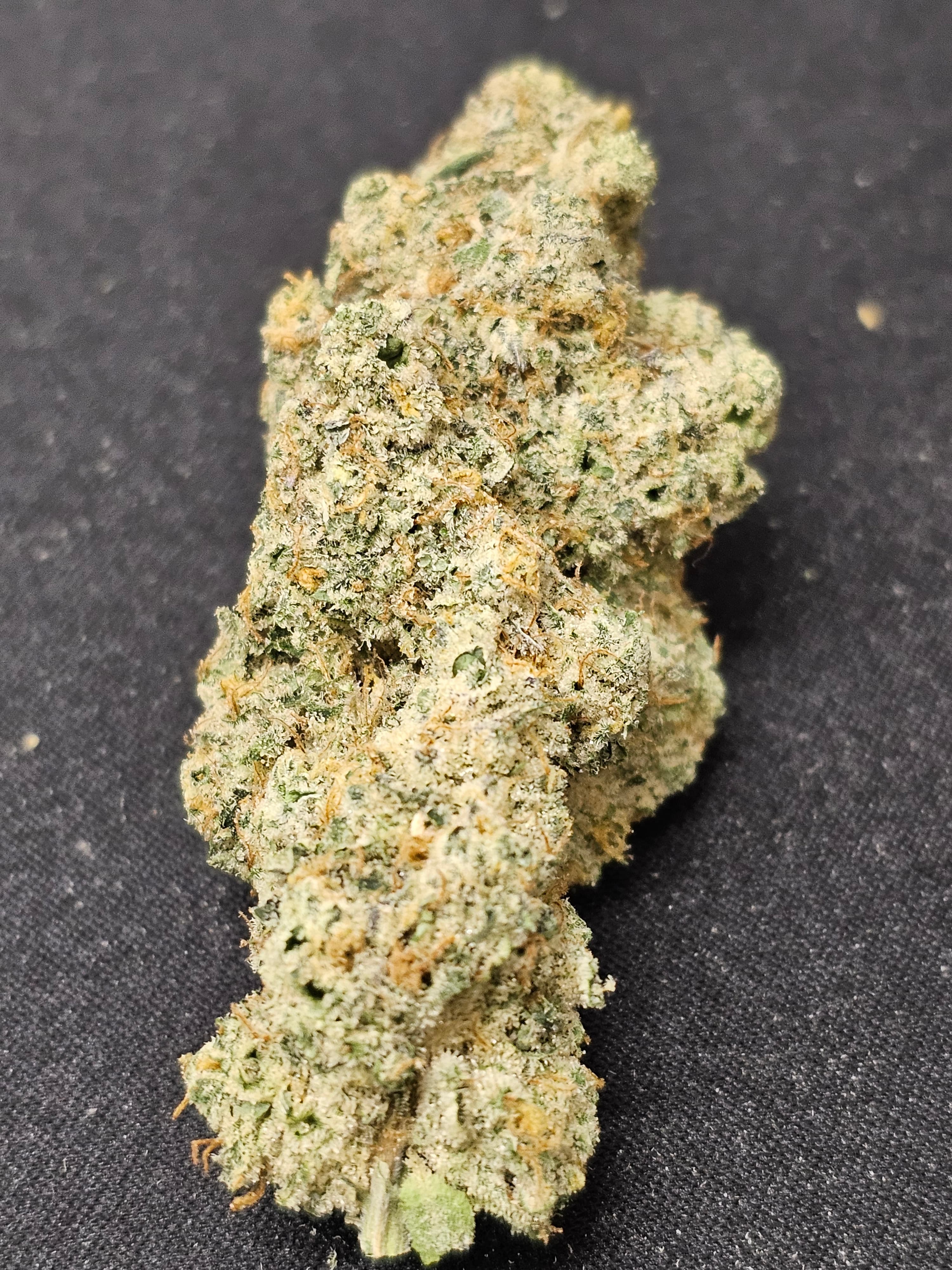 DR. JC'S  Exotics DRJC Runtz | Dr. JC's Exotics