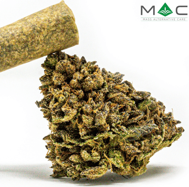MAC Rocket Punch - Pre-Roll - 1.0g