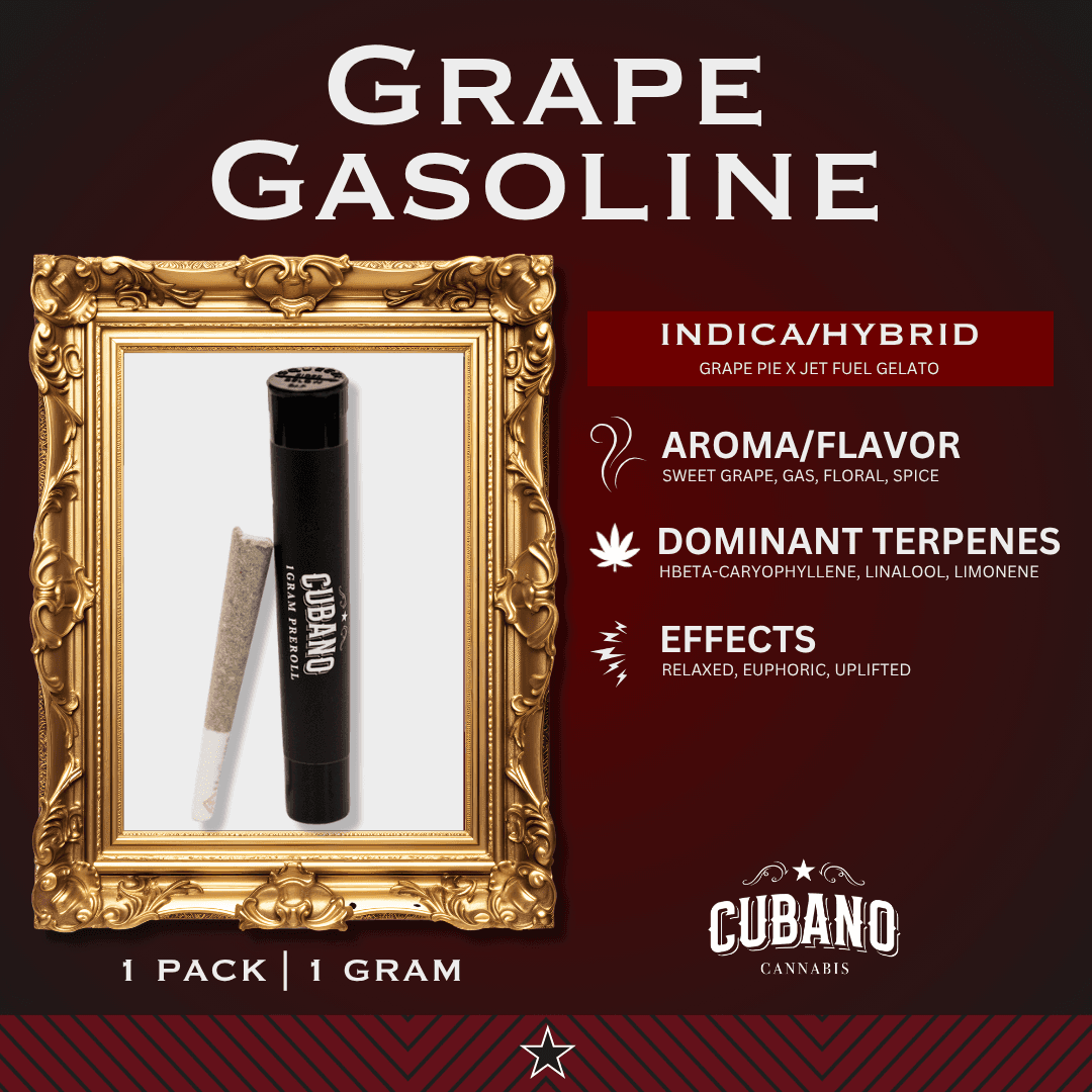 Cubano Cannabis Grape Gasoline [1g]
