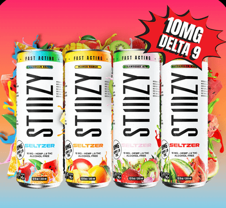 Stiizy Seltzer | Strawberry Kiwi | 10 mg