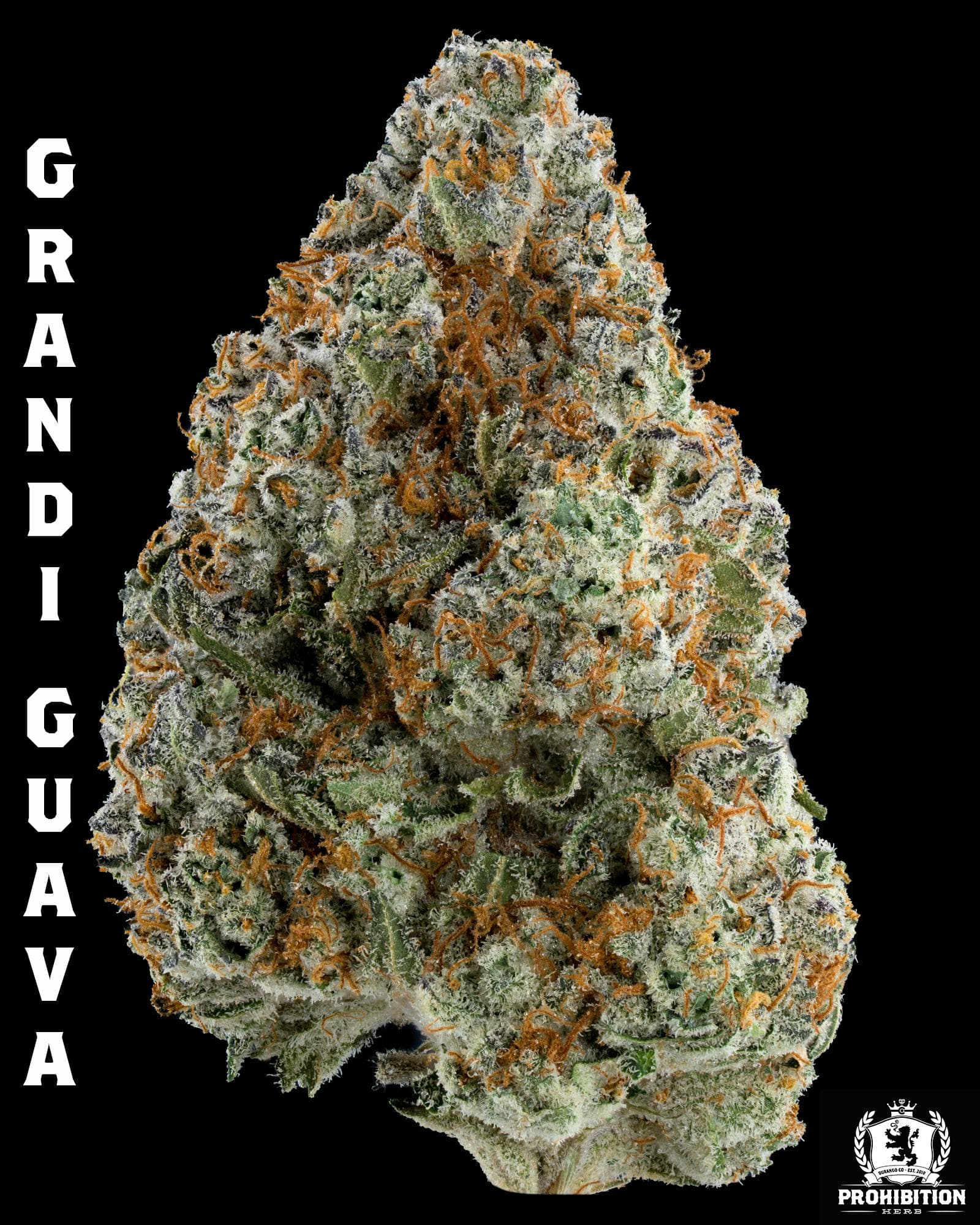 Prohibition Herb