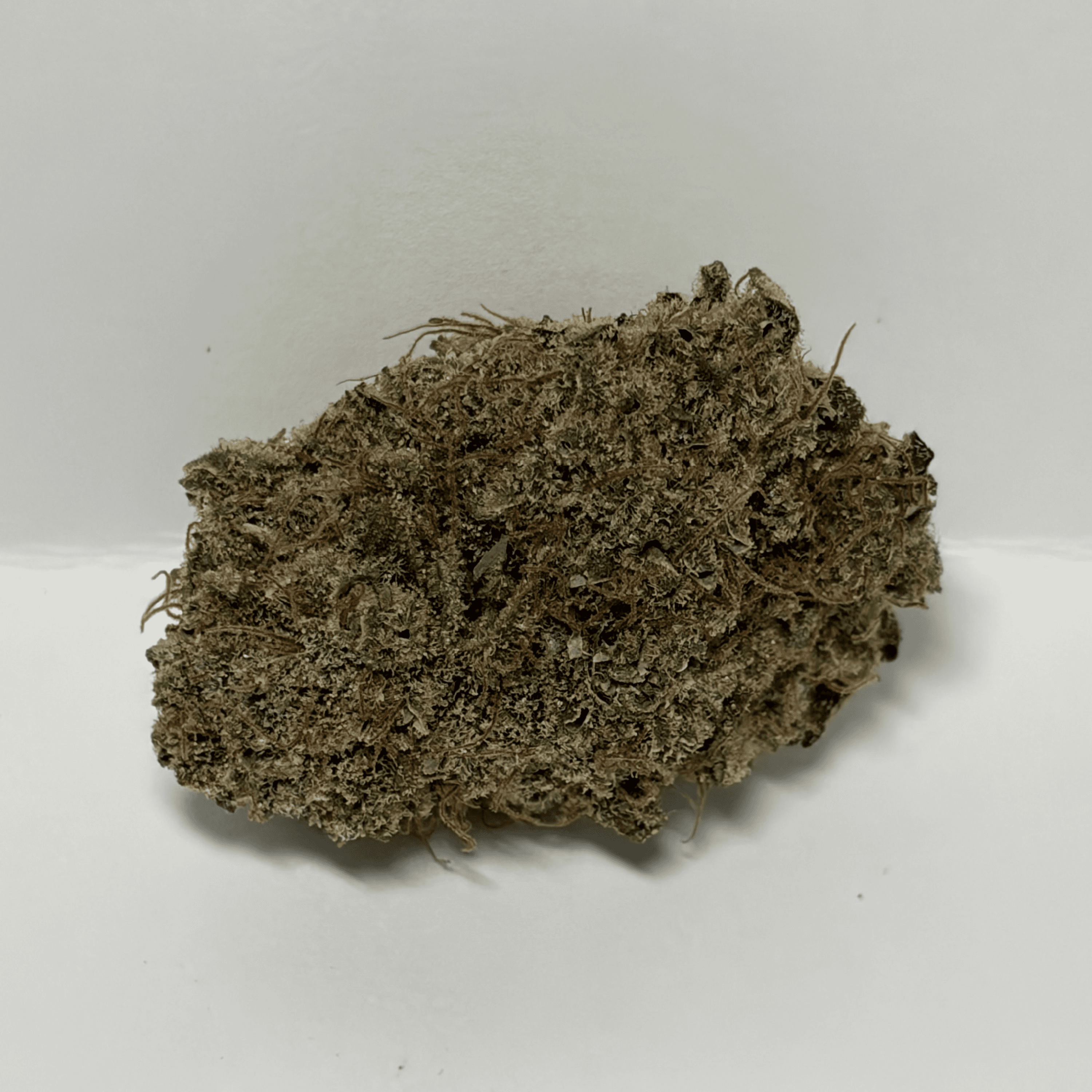 Portal Cannabis