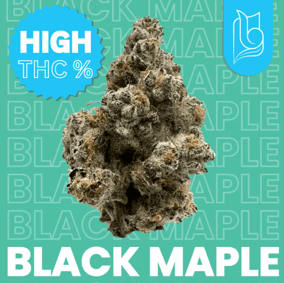 Blügrass Blügrass - Black Maple - Pre-packed popcorn - 7g