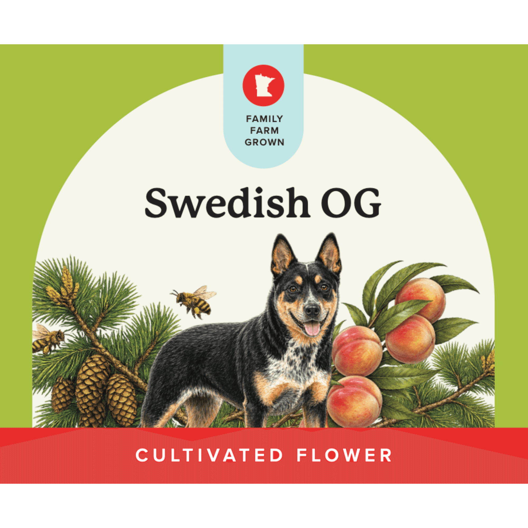 Swedish OG - Flower - Verist Fields - 3.5g
