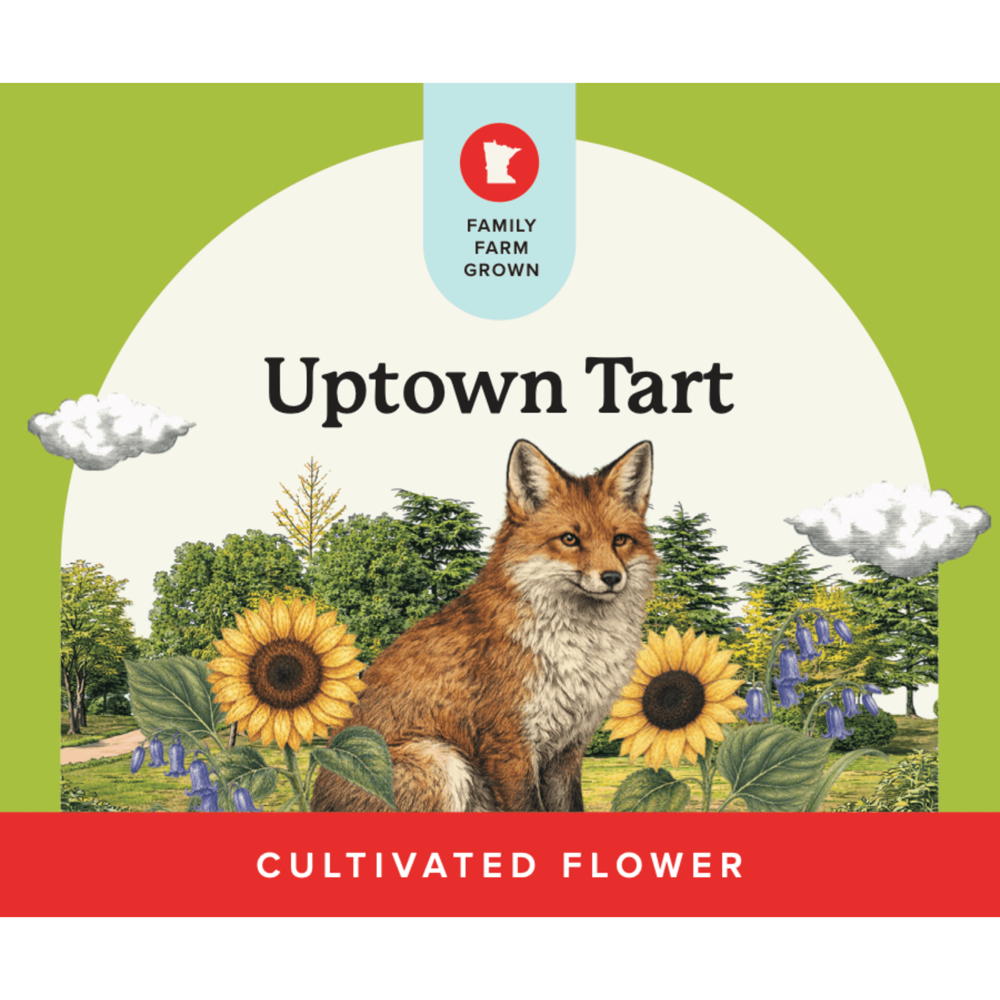 Uptown Tart - Flower - Verist Fields - 3.5g