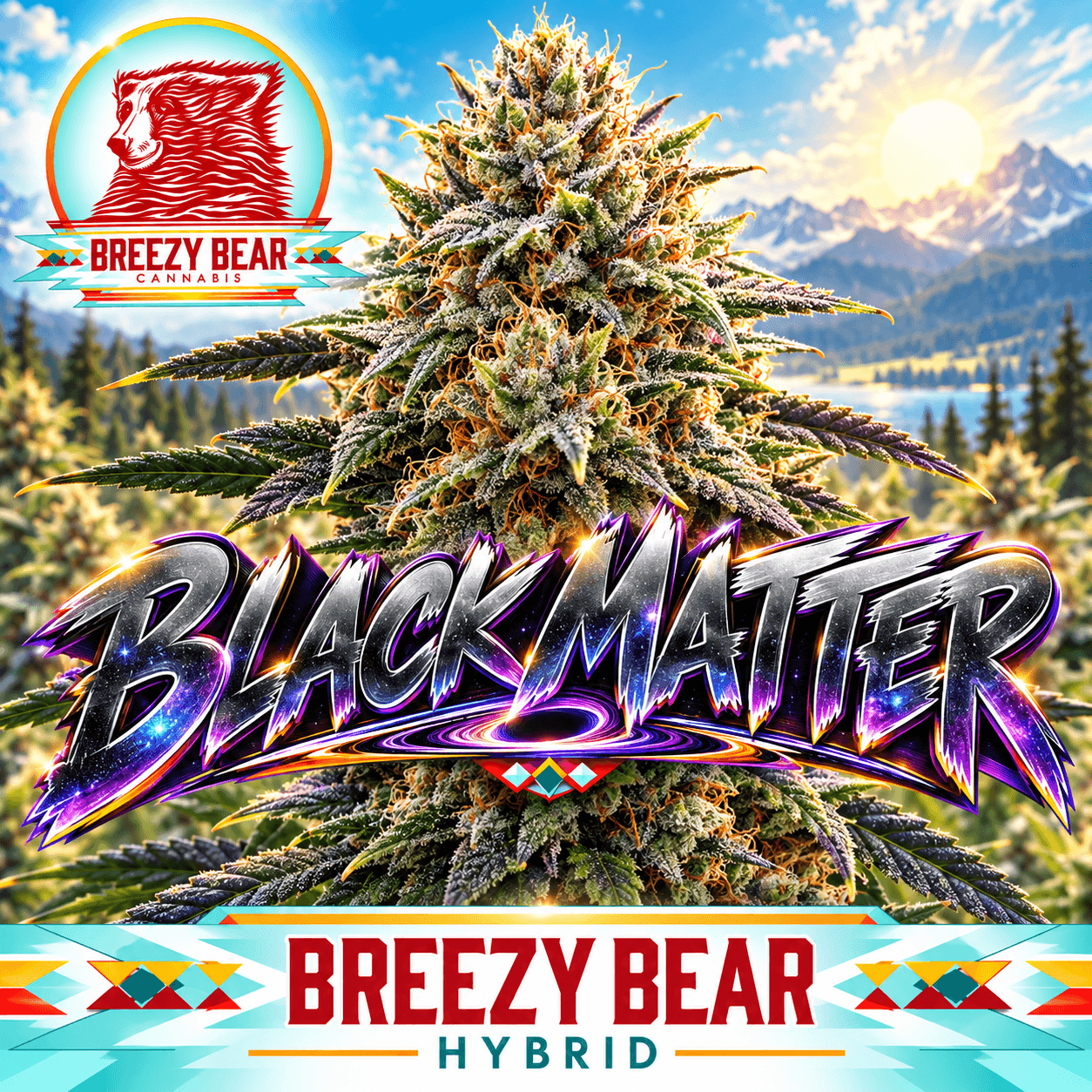 Breezy Bear Breezy Bear - 3.5g Flower - Black Matter