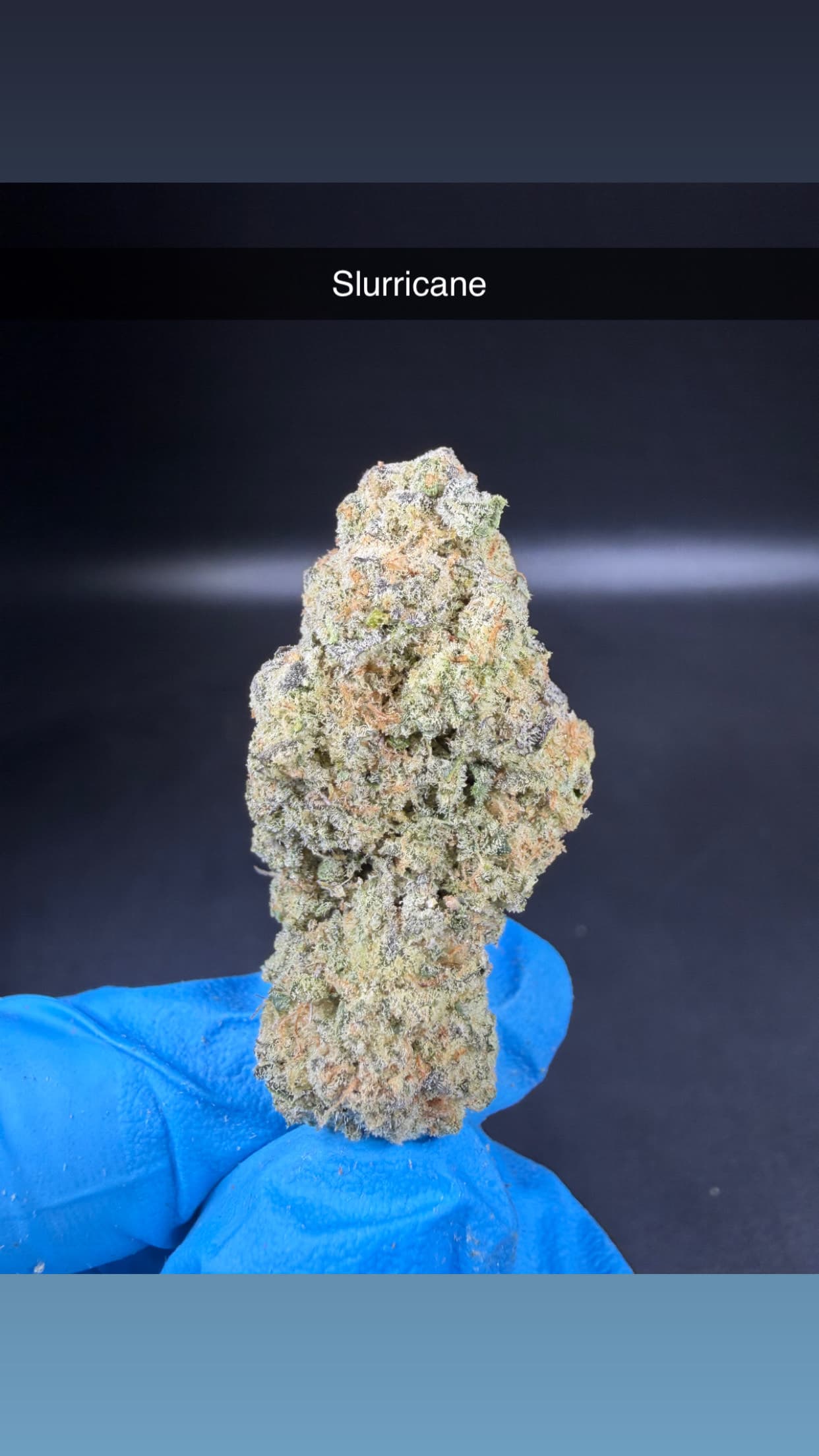 Terpology Slurricane - Flower - Hybrid