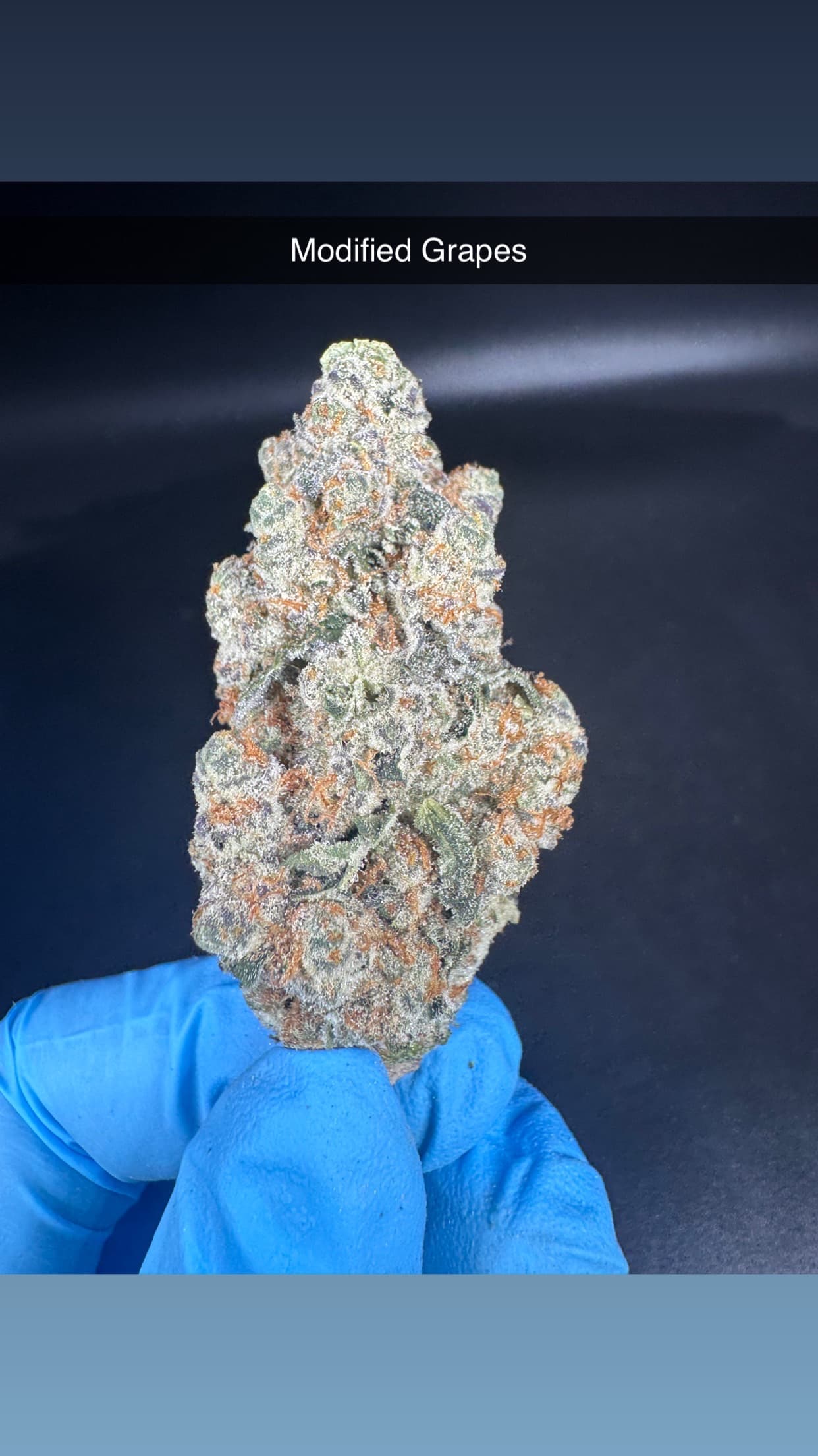 Montana Advanced Caregivers Modified Grapes