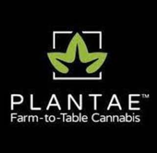 Alfalfa Valley Farms Plantae | Cart CR Hybrid - Mac 1