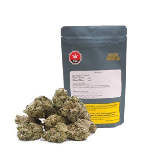 BONUS BUD