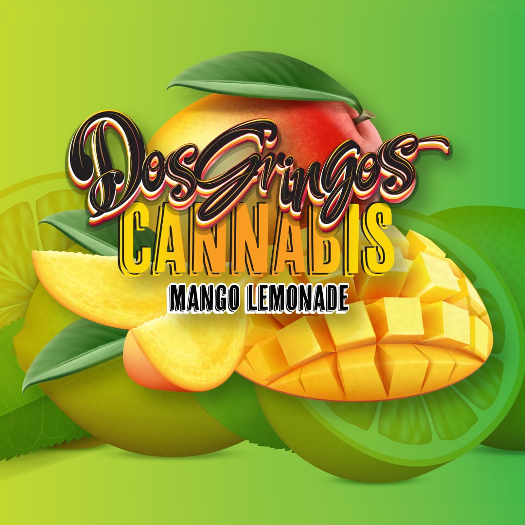 Dos Gringos Lemonade