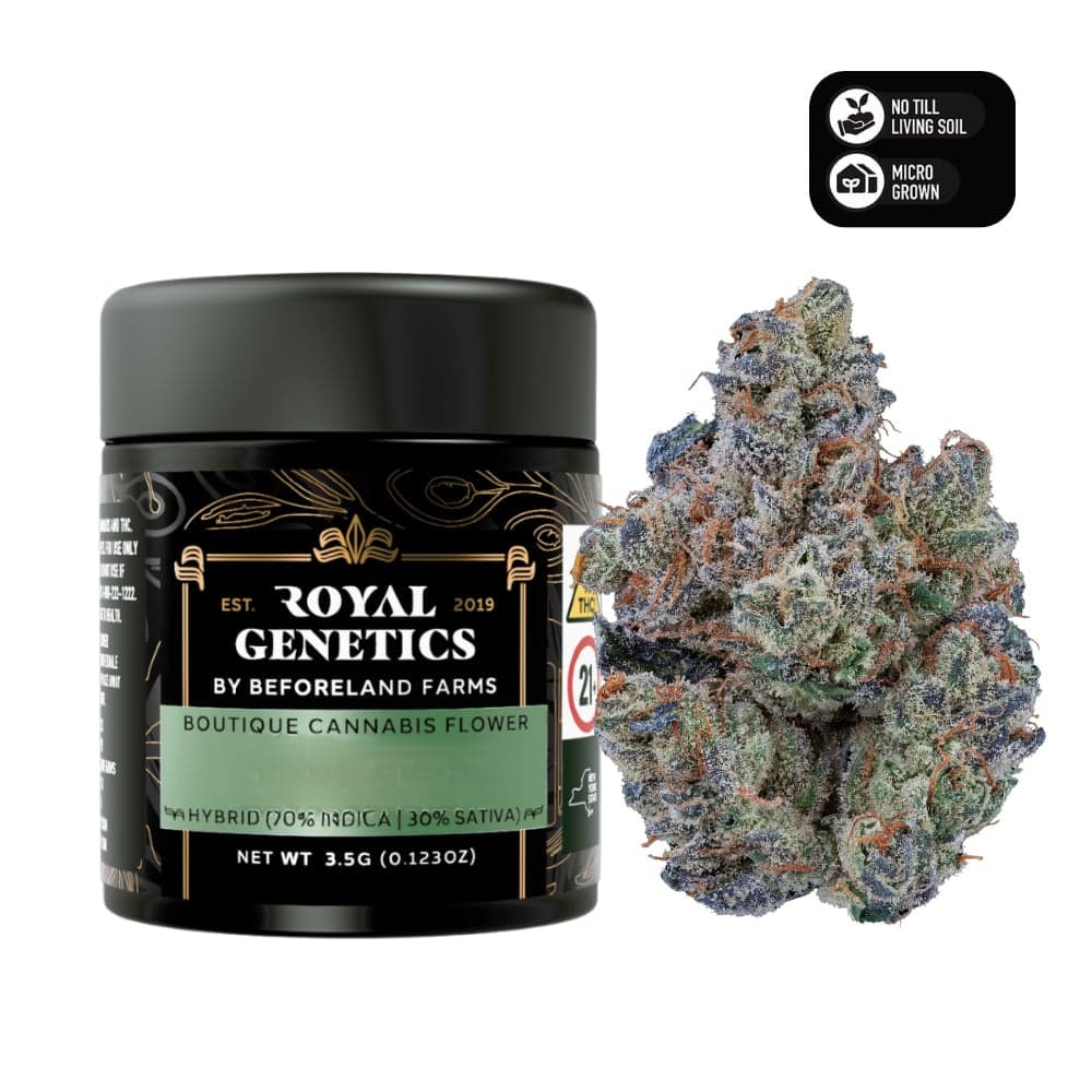 Royal Genetics Flower Jar Sour Diesel (SH)