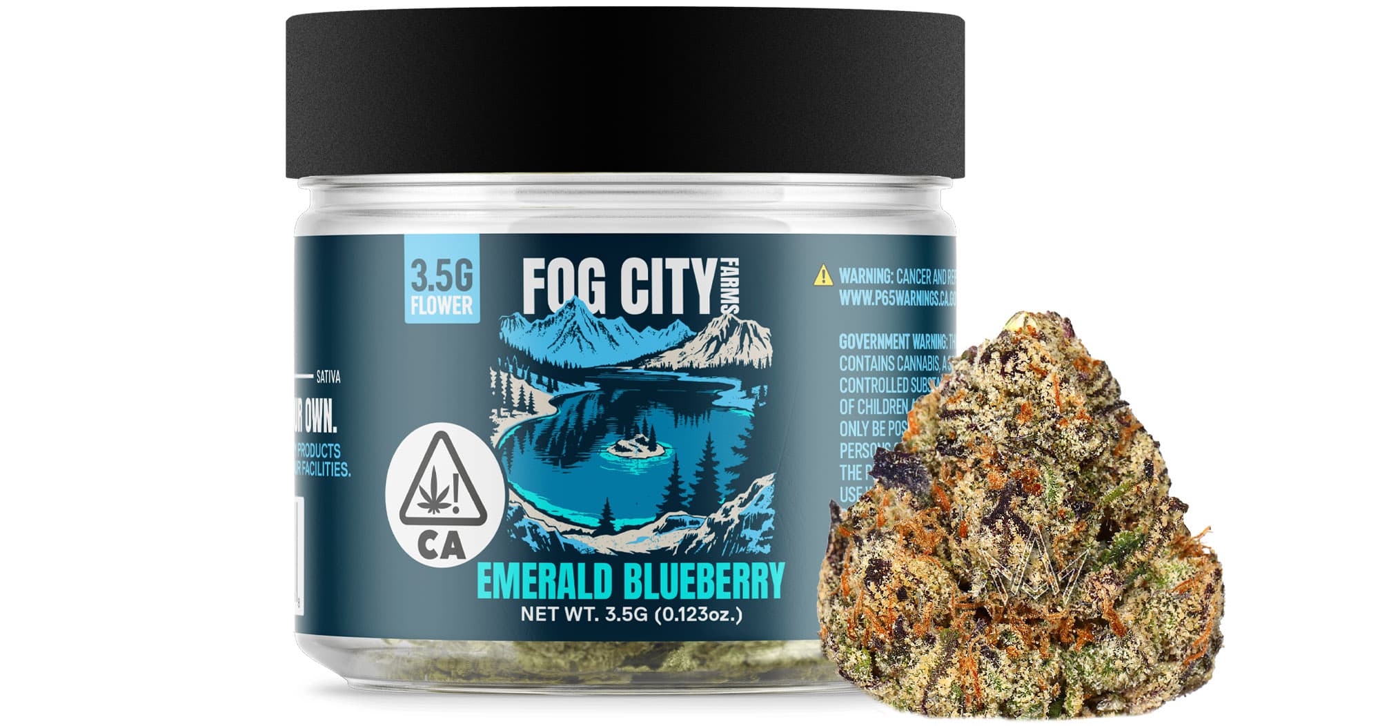 Fog City Farms
