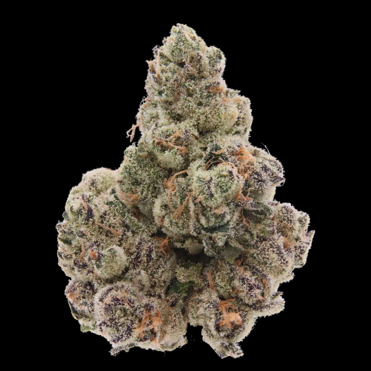 Astro Buds Flower