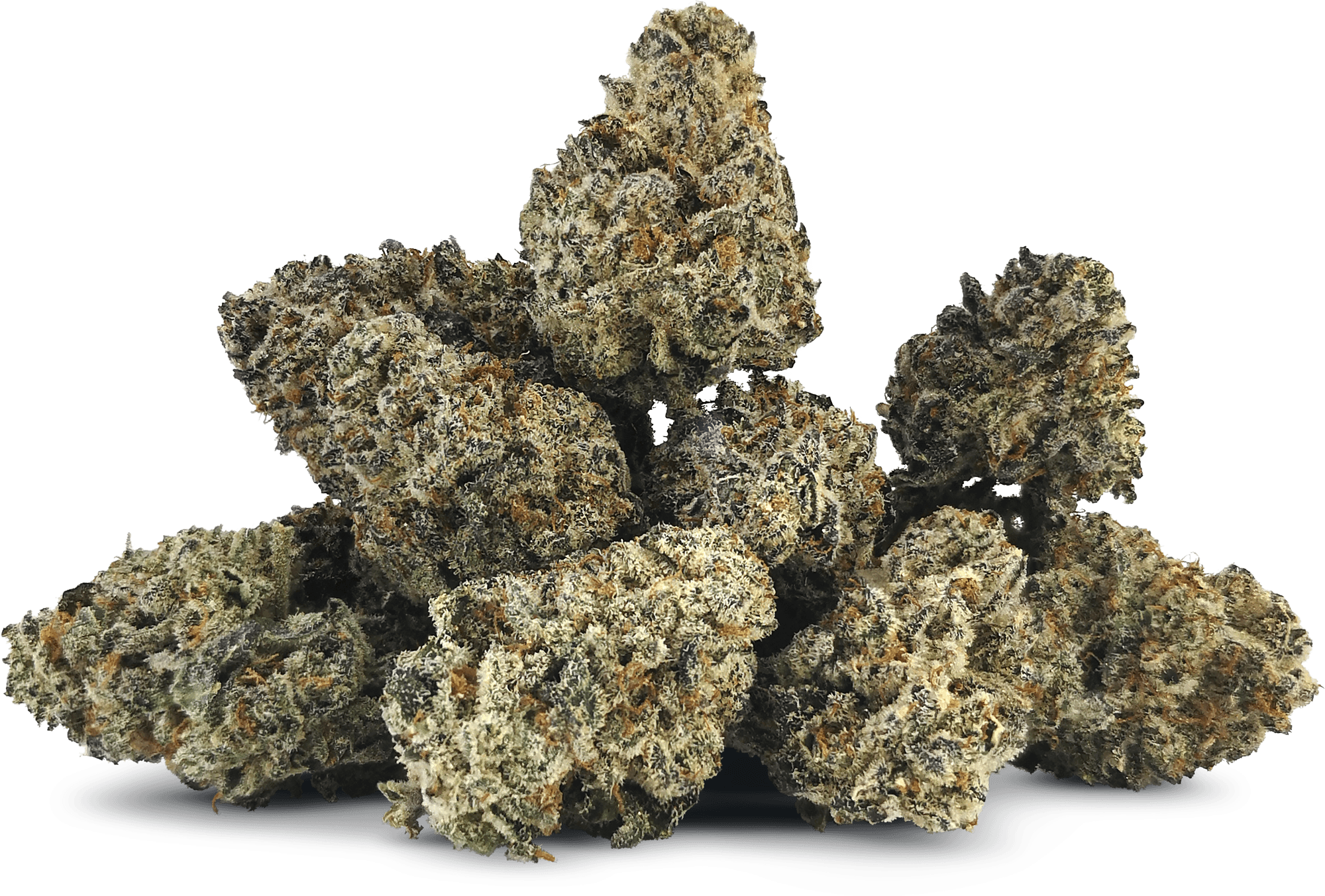 Astro Buds