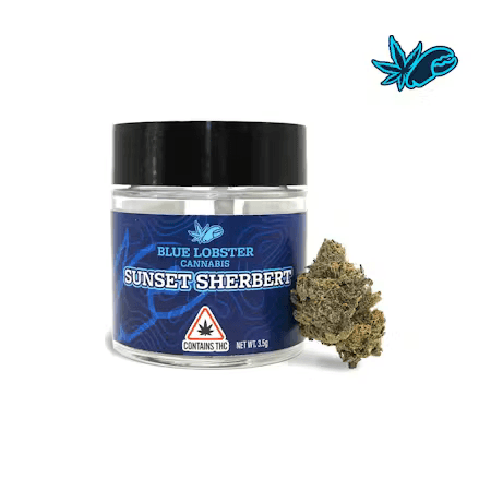 Blue Lobster Cannabis Sunset Sherbert Jar