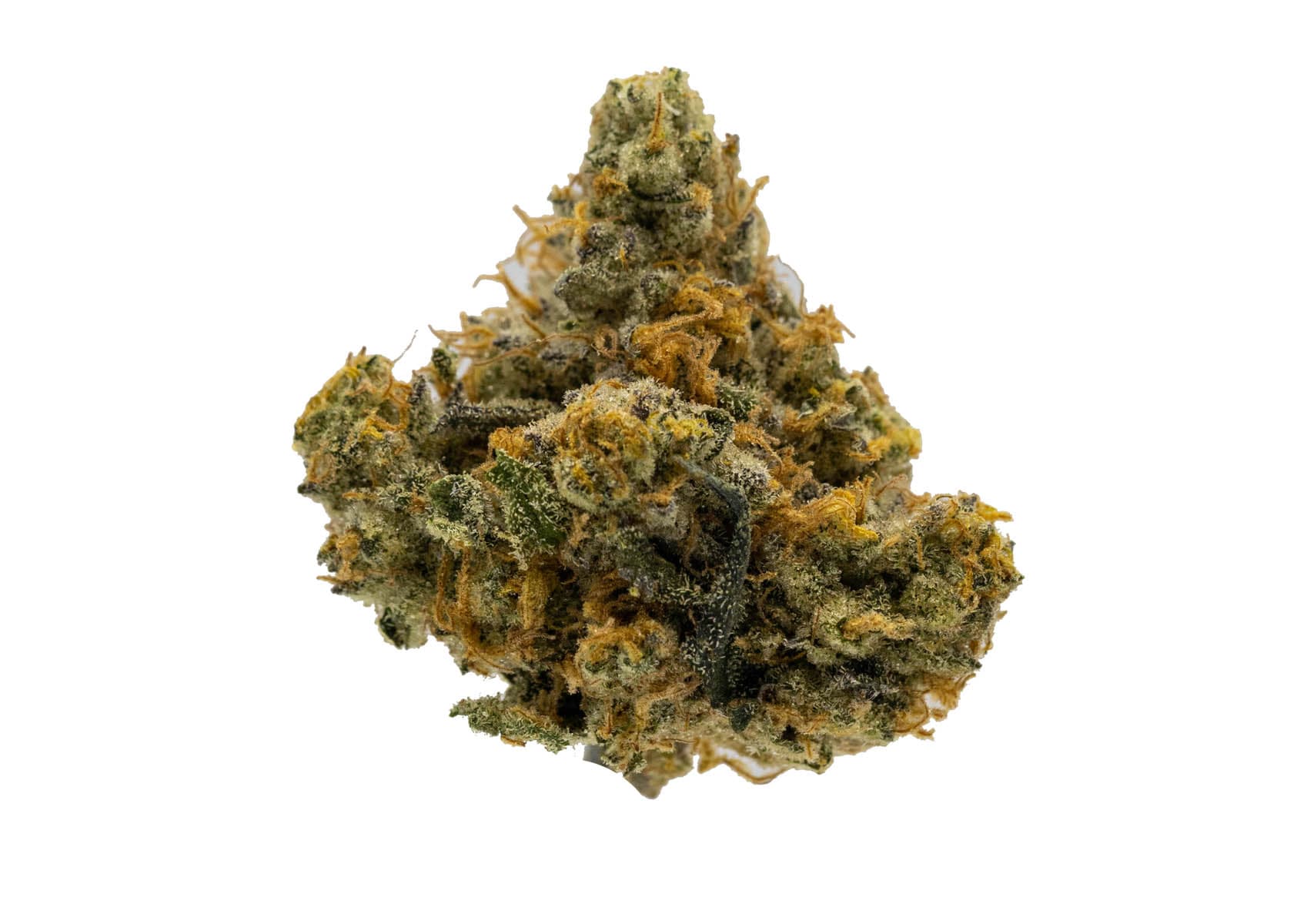 Colorado Harvest Company Gary
