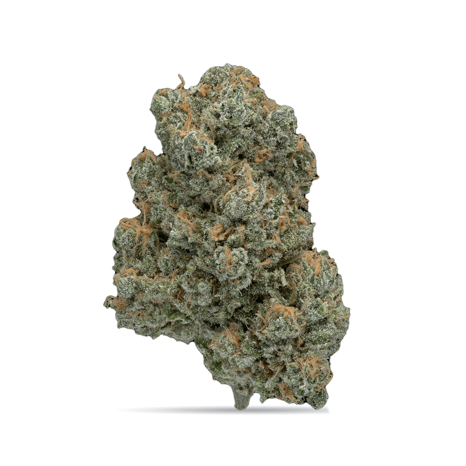 Oregon Roots Flower