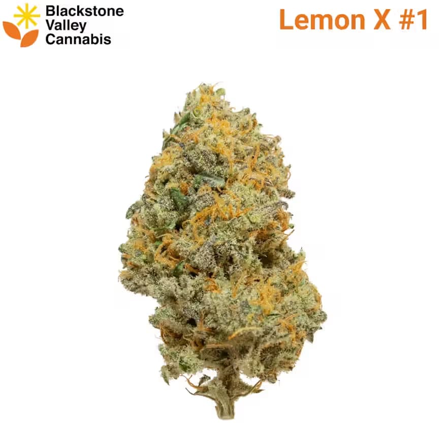 Blackstone Valley Cannabis Lemon X