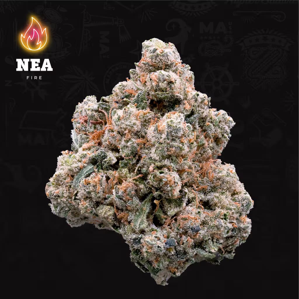 Northeast Alternatives Zsweet Inzanity | 3.5g | Northeast Alternatives