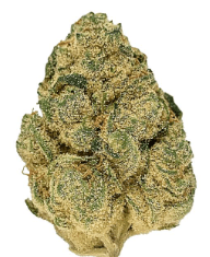 Northeast Alternatives Pineapple Express