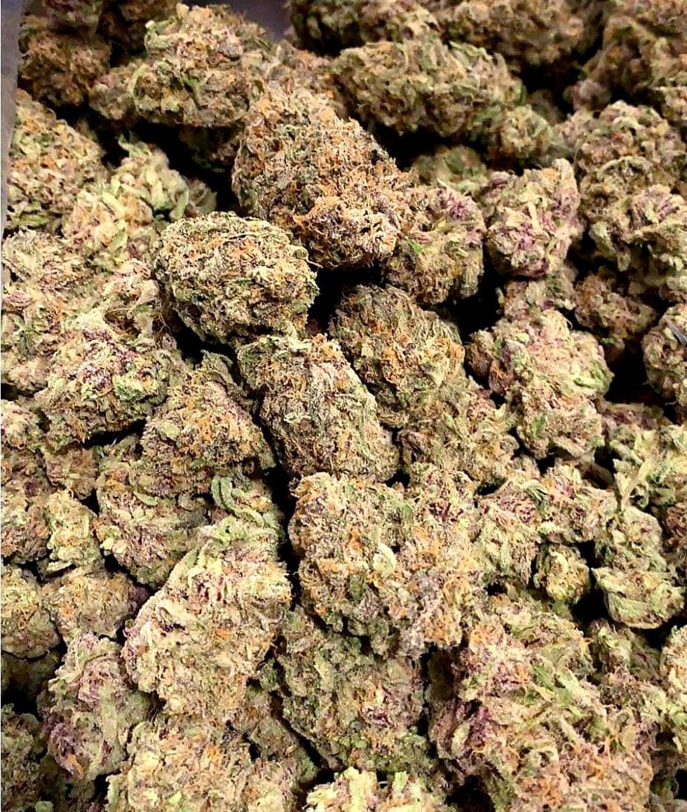 Astro Buds
