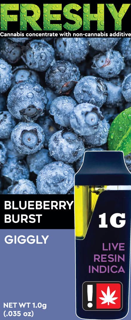 Freshy Blueberry Burst AIO