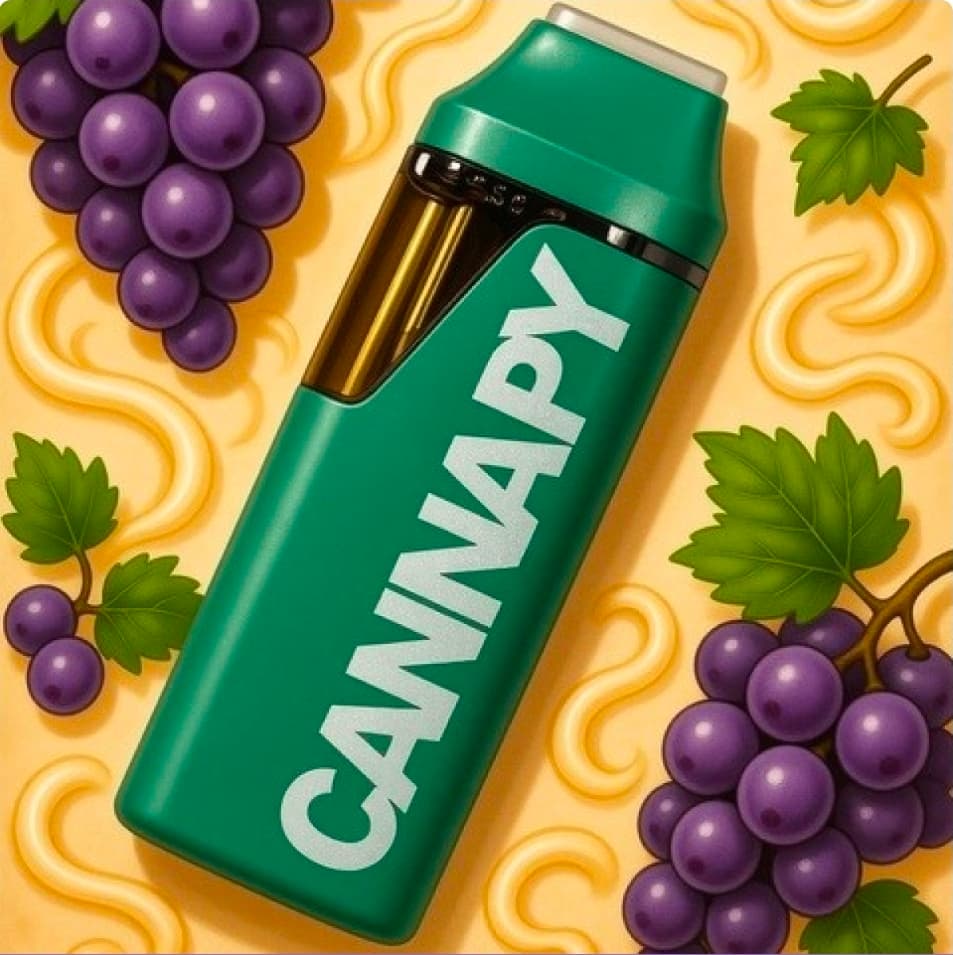 Cannapy Slurricane Disposable - 0.5g - Indica