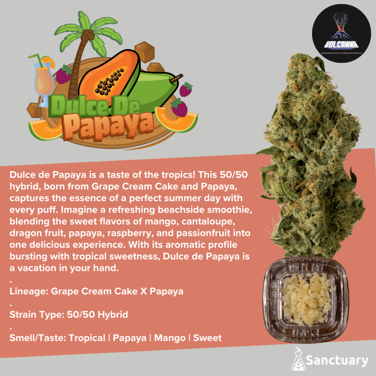 Volcanna Dulce De Papaya | Sauce | 1g