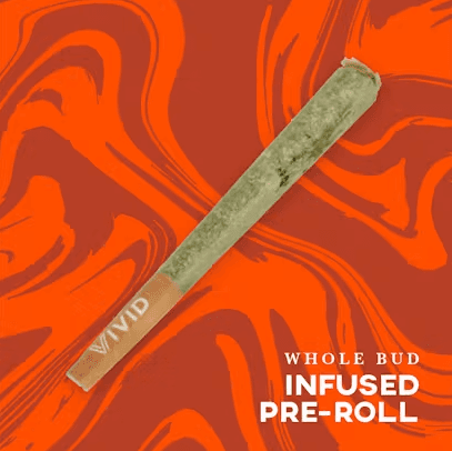 Vivid Cannabis