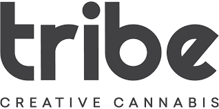 Tribe Collective