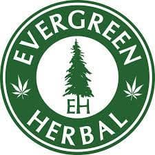 Evergreen Herbal Beverages