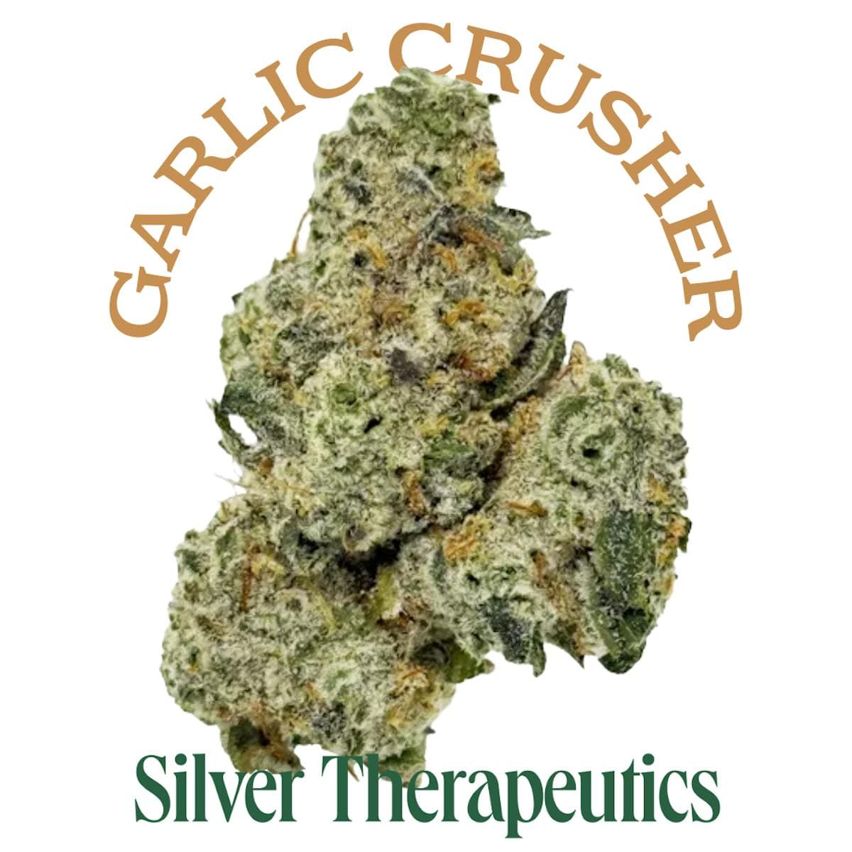 Silver Therapeutics Garlic Crusher