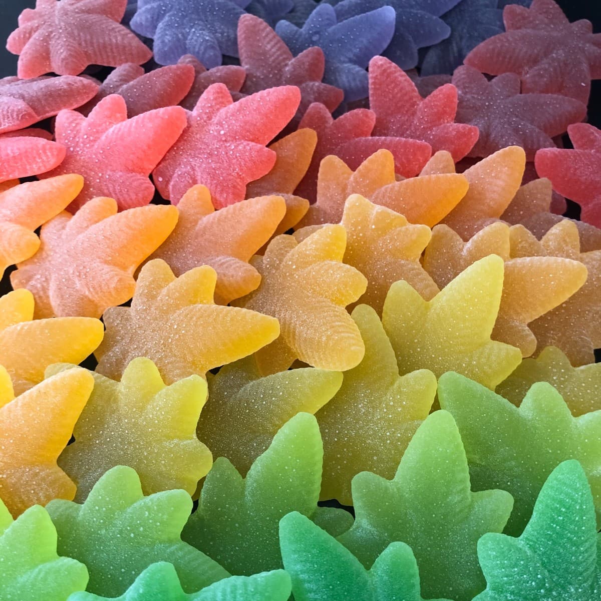 MoMo's Bakery Edibles