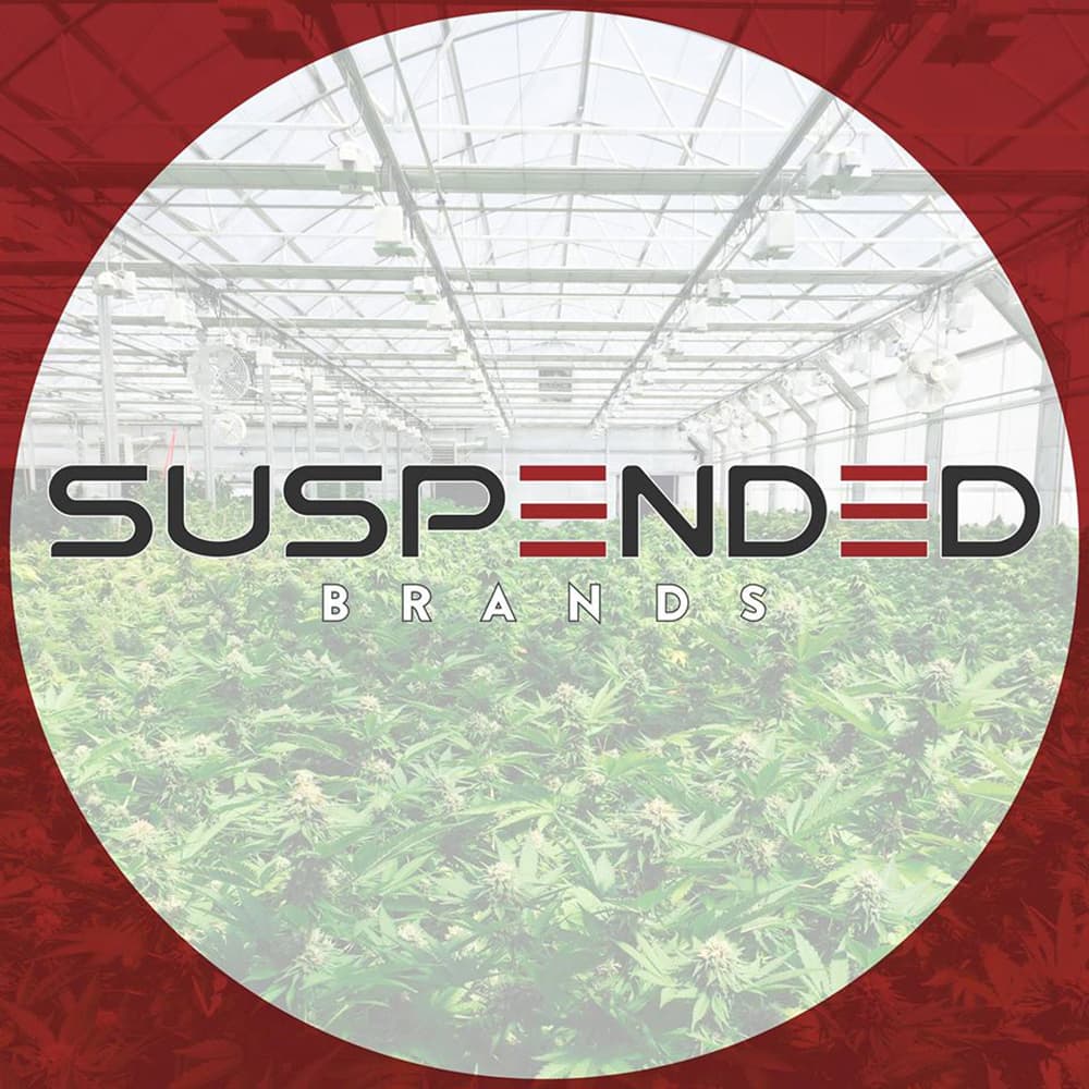 Suspended Brands Black Koffee