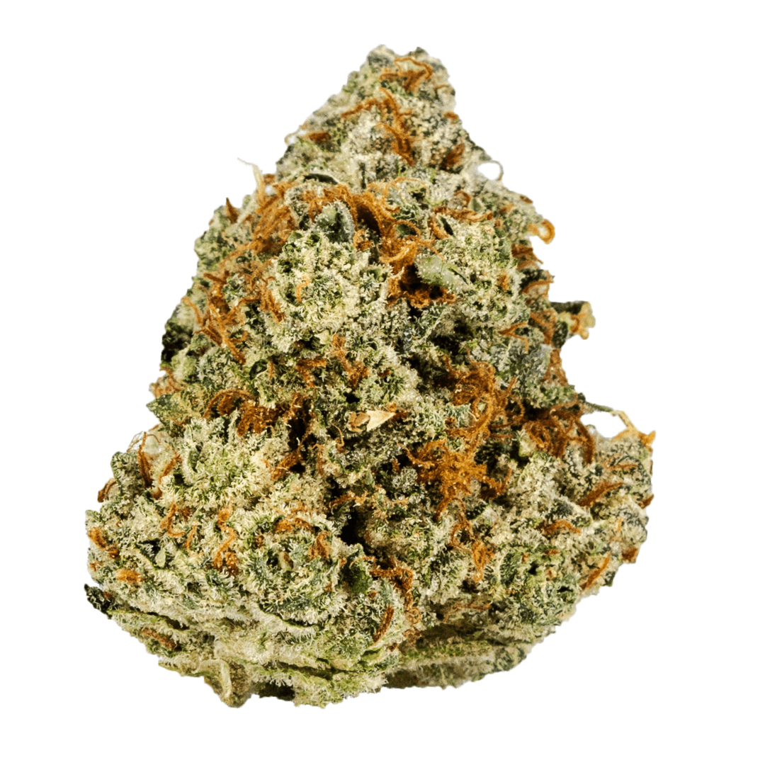 Scorpion Grass Premier Tier - Horchata