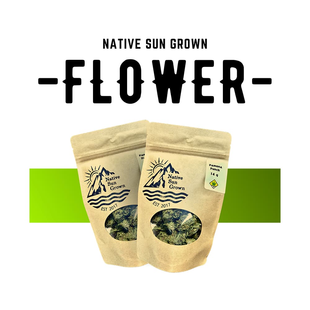 Native Sun Grown Blueberry BX1