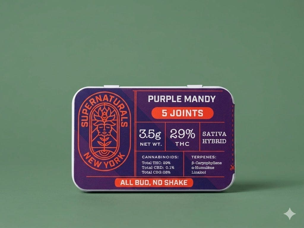 Supernaturals PURPLE MANDY | 5-Pack