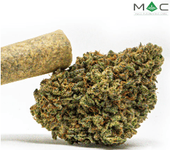 Mass Alternative Care Juniper Jive Pre-Roll