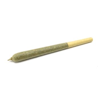 HESHIES Pre-Roll | The White