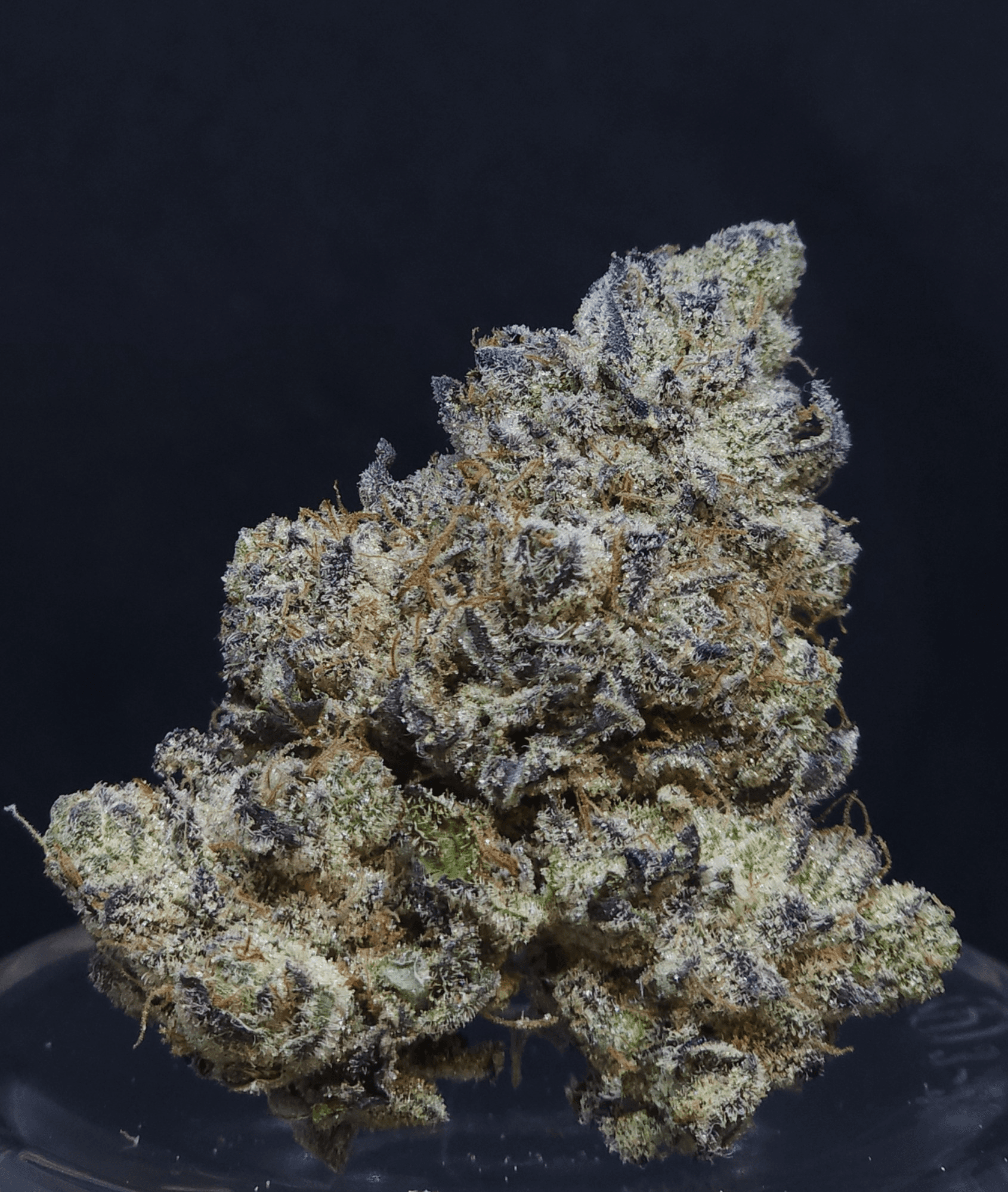 BAM Alaska Hash Burger Flower