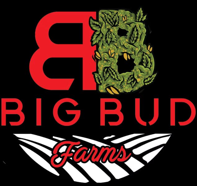 Big Bud Farms Big Bud Farms Disposable Vape 1g God's Gift